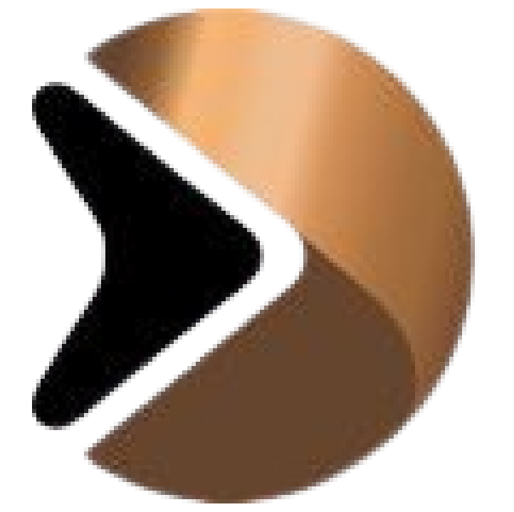 BiznuConecta Logo